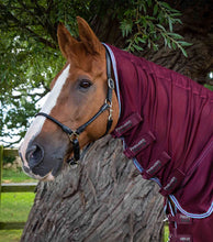 Load image into Gallery viewer, Premier Equine Combo Mesh Air Fly Rug