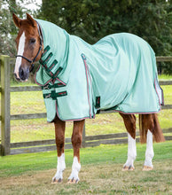 Load image into Gallery viewer, Premier Equine Combo Mesh Air Fly Rug