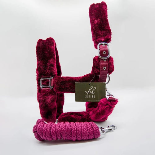 Teddy Headcollar & Leadrope Set
