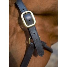 Load image into Gallery viewer, Cameo Leather Headcollar