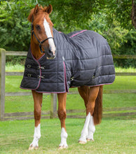Load image into Gallery viewer, Premier Equine Garissa 100g Stable Rug