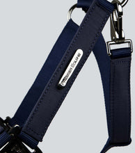 Load image into Gallery viewer, Premier Equine Duco Padded Headcollar with Leadrope