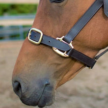 Load image into Gallery viewer, Cameo Leather Headcollar