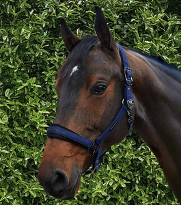 Premier Equine Duco Padded Headcollar with Leadrope