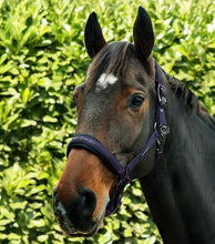 Load image into Gallery viewer, Premier Equine Duco Padded Headcollar with Leadrope