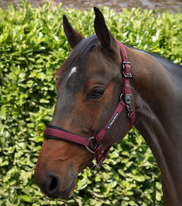Premier Equine Corda Padded Headcollar with Leadrope