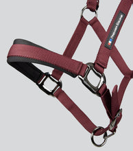 Load image into Gallery viewer, Premier Equine Corda Padded Headcollar with Leadrope