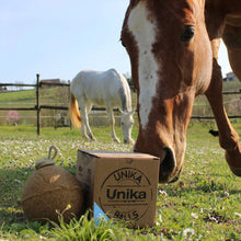 Load image into Gallery viewer, Unika Ball - Herbs