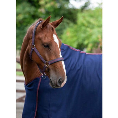 Cameo Core Collection Headcollar & Leadrope