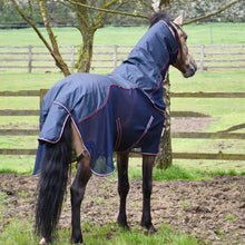 Load image into Gallery viewer, Rhinegold Mombasa Waterproof Detachable Neck Fly Rug