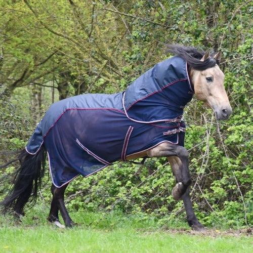 Rhinegold Mombasa Waterproof Detachable Neck Fly Rug