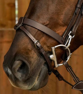 Shires Bridle Cheek Clip