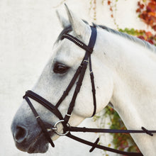 Load image into Gallery viewer, Mackey Equisential Bling Bridle with Reins