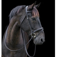 Load image into Gallery viewer, Cameo Classic Bridle With Reins