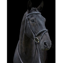 Load image into Gallery viewer, Cameo Classic Bridle With Reins