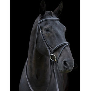 Cameo Classic Bridle With Reins