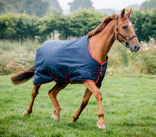 Mackey Equisential 0g Turnout Rug
