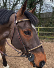 Load image into Gallery viewer, Equipe Emporio Clincher Removable Flash Bridle