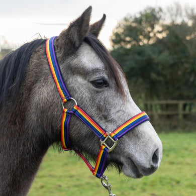 Rainbow Riders Headcollar & Leadrope Set