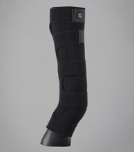 Load image into Gallery viewer, Premier Equine Pocketed Ice Boots