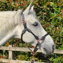 Load image into Gallery viewer, Cameo Anatomic Leather &amp; Rope Headcollar