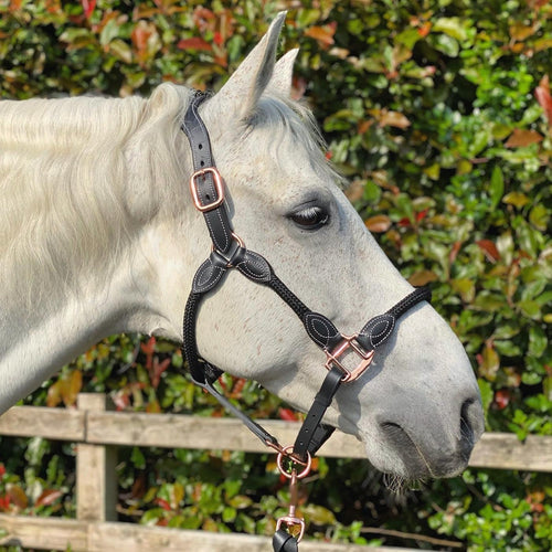 Cameo Anatomic Leather & Rope Headcollar