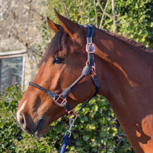 Load image into Gallery viewer, Cameo Anatomic Leather &amp; Rope Headcollar