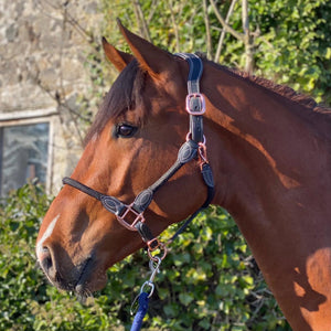 Cameo Anatomic Leather & Rope Headcollar