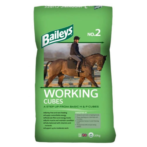 Baileys No.2 Working Cubes