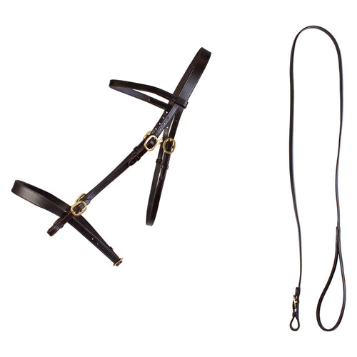 Cameo Inhand Bridle and Lead