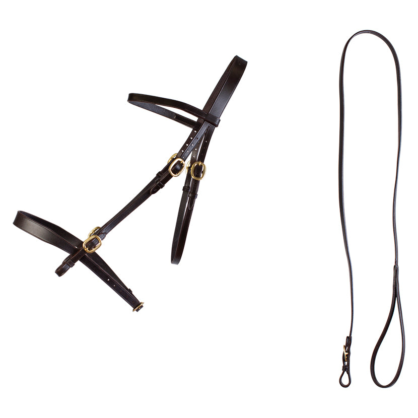 Cameo Inhand Bridle and Lead