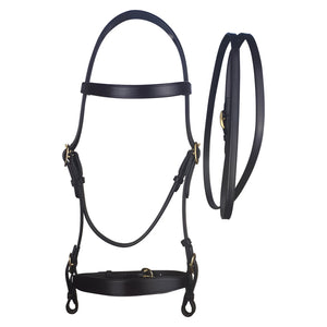 Cameo Inhand Bridle and Lead