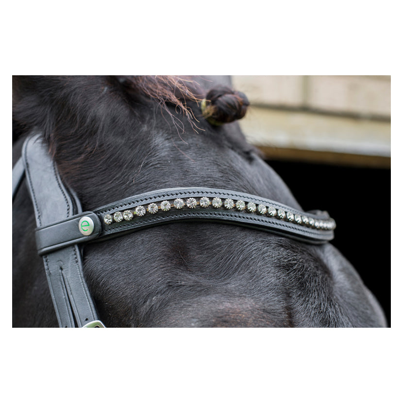 EcoRider Freedom Browband