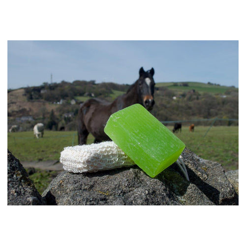 Ecorider Horse Soap Shampoo