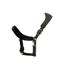Load image into Gallery viewer, Cameo Anatomic Padded Headcollar