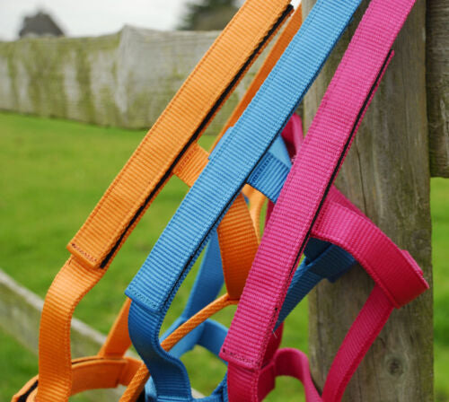 Rhinegold FieldSafe Headcollar
