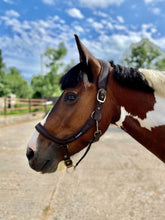 Load image into Gallery viewer, Cameo Anatomic Padded Headcollar