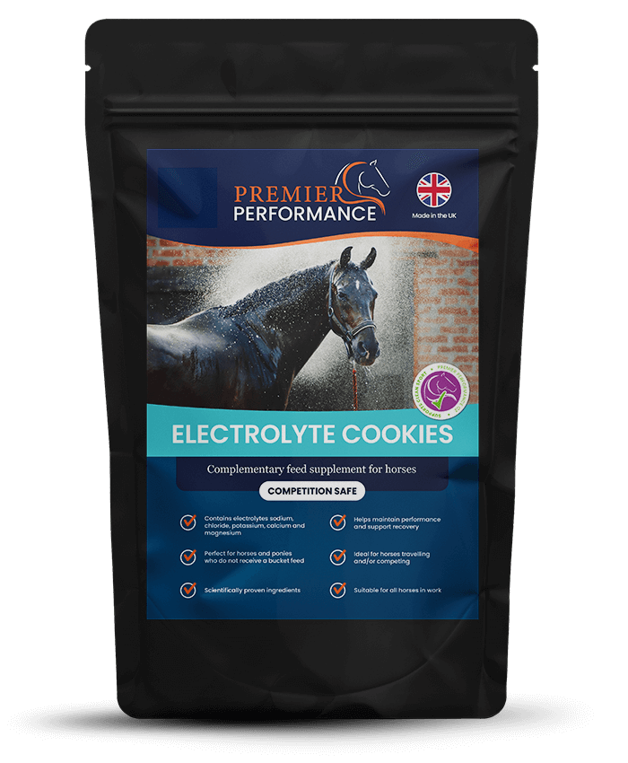 Premier Performance Electrolyte Cookies