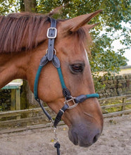 Load image into Gallery viewer, Cameo Anatomic Leather &amp; Rope Headcollar