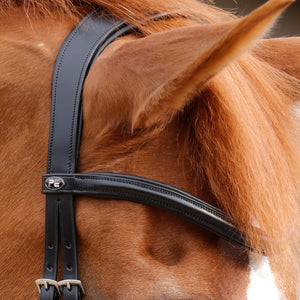 Premier Equine Savuto Anatomic Bridle