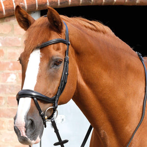 Premier Equine Savuto Anatomic Bridle