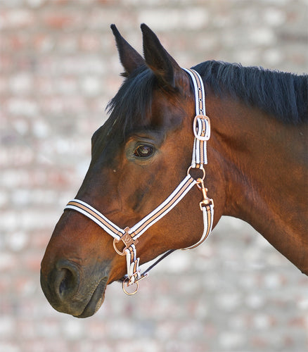 Waldhausen Rose Gold Shine Headcollar