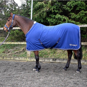 John Whitaker Rydal Show Rug
