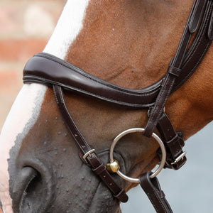 Premier Equine Savuto Anatomic Bridle