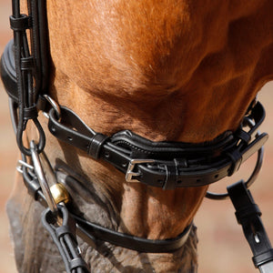 Premier Equine Savuto Anatomic Bridle