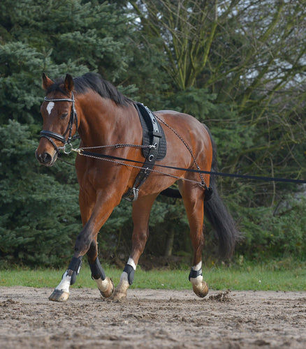 Waldhausen Lunging System - Pessoa