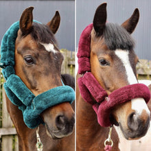 Load image into Gallery viewer, Teddy Headcollar