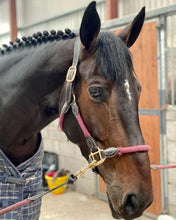 Load image into Gallery viewer, Cameo Anatomic Leather &amp; Rope Headcollar