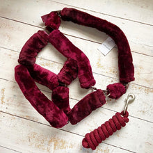 Load image into Gallery viewer, Teddy Headcollar