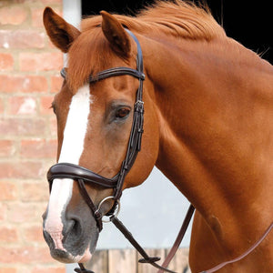 Premier Equine Savuto Anatomic Bridle